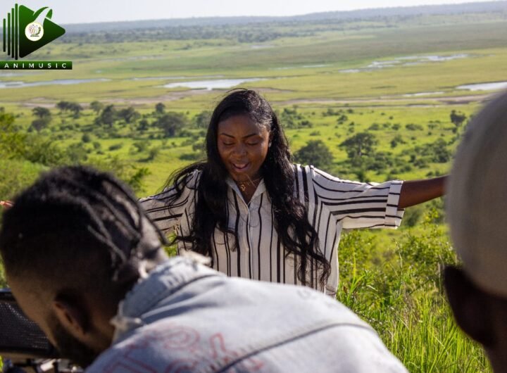 Animusic lança música intitulada Natureza no dia Africano do Ambiente